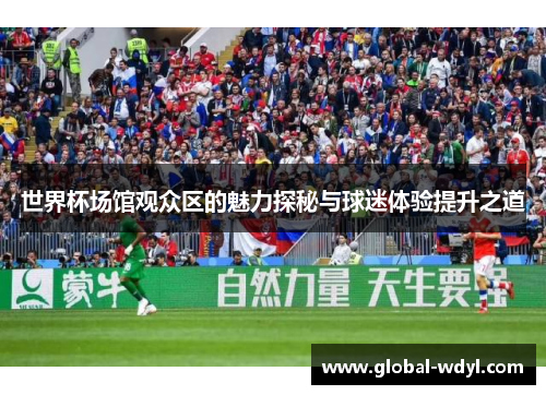 世界杯场馆观众区的魅力探秘与球迷体验提升之道 世界杯场馆观众区的魅力探秘与球迷体验提升之道