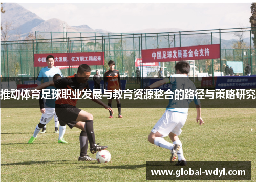 推动体育足球职业发展与教育资源整合的路径与策略研究 推动体育足球职业发展与教育资源整合的路径与策略研究