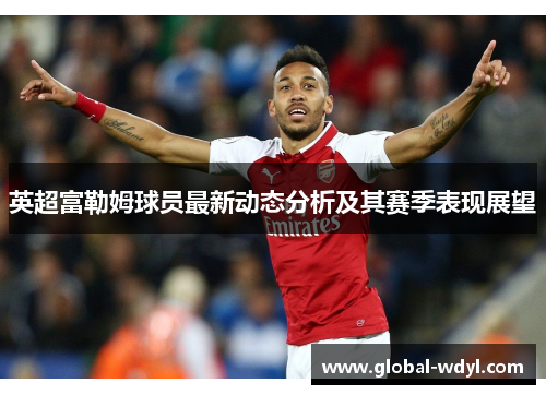 英超富勒姆球员最新动态分析及其赛季表现展望 英超富勒姆球员最新动态分析及其赛季表现展望