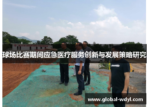 球场比赛期间应急医疗服务创新与发展策略研究 球场比赛期间应急医疗服务创新与发展策略研究