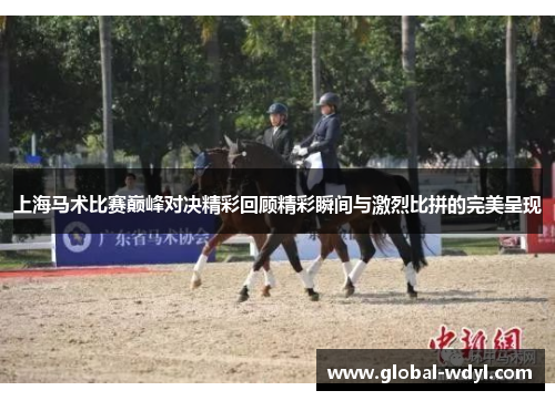上海马术比赛巅峰对决精彩回顾精彩瞬间与激烈比拼的完美呈现