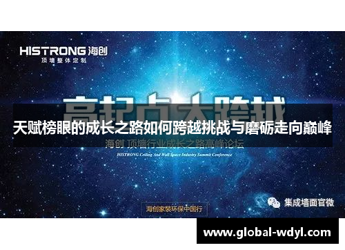 天赋榜眼的成长之路如何跨越挑战与磨砺走向巅峰