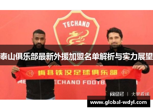 泰山俱乐部最新外援加盟名单解析与实力展望