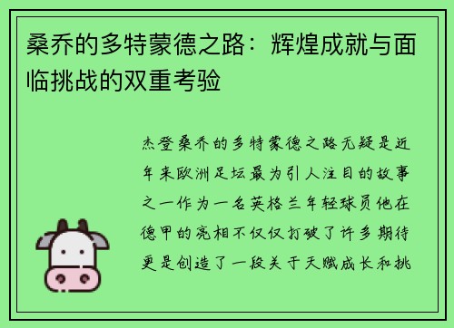 桑乔的多特蒙德之路：辉煌成就与面临挑战的双重考验