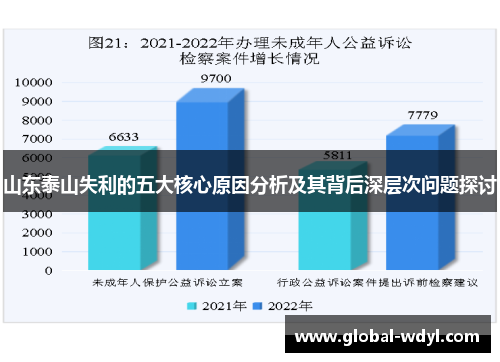 山东泰山失利的五大核心原因分析及其背后深层次问题探讨 山东泰山失利的五大核心原因分析及其背后深层次问题探讨