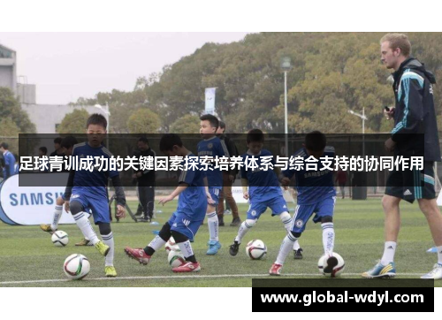 足球青训成功的关键因素探索培养体系与综合支持的协同作用