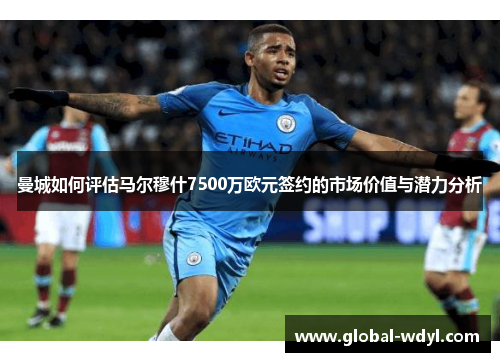 曼城如何评估马尔穆什7500万欧元签约的市场价值与潜力分析