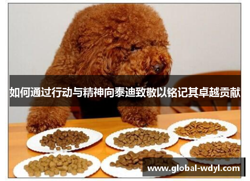 如何通过行动与精神向泰迪致敬以铭记其卓越贡献 如何通过行动与精神向泰迪致敬以铭记其卓越贡献