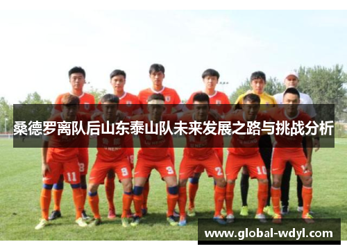 桑德罗离队后山东泰山队未来发展之路与挑战分析