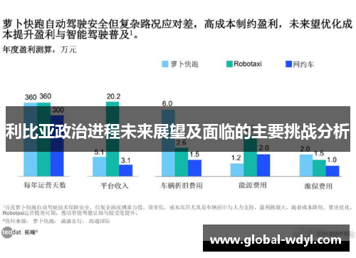 利比亚政治进程未来展望及面临的主要挑战分析
