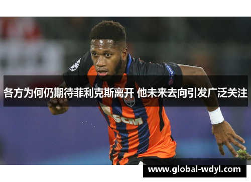 各方为何仍期待菲利克斯离开 他未来去向引发广泛关注 各方为何仍期待菲利克斯离开 他未来去向引发广泛关注