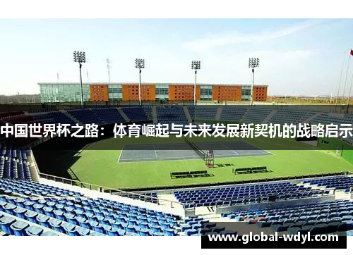中国世界杯之路:体育崛起与未来发展新契机的战略启示 中国世界杯之路:体育崛起与未来发展新契机的战略启示