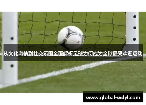 从文化激情到社交氛围全面解析足球为何成为全球最受欢迎运动