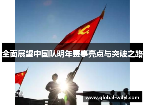 全面展望中国队明年赛事亮点与突破之路