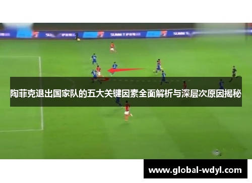 陶菲克退出国家队的五大关键因素全面解析与深层次原因揭秘