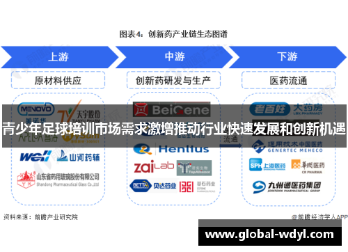 青少年足球培训市场需求激增推动行业快速发展和创新机遇
