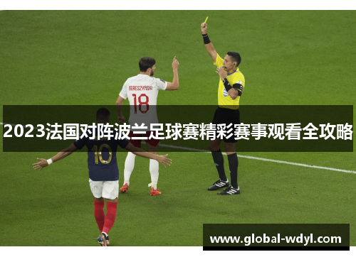 2023法国对阵波兰足球赛精彩赛事观看全攻略