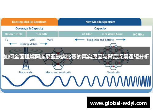 如何全面理解阿库尼亚缺席比赛的真实原因与背后深层逻辑分析