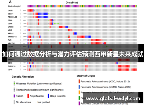 如何通过数据分析与潜力评估预测西甲新星未来成就 如何通过数据分析与潜力评估预测西甲新星未来成就