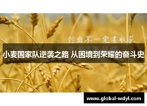 小麦国家队逆袭之路 从困境到荣耀的奋斗史 小麦国家队逆袭之路 从困境到荣耀的奋斗史