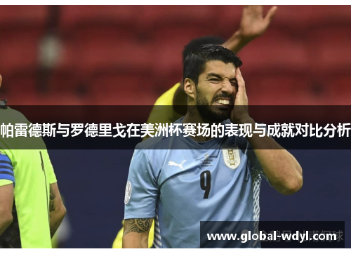 帕雷德斯与罗德里戈在美洲杯赛场的表现与成就对比分析